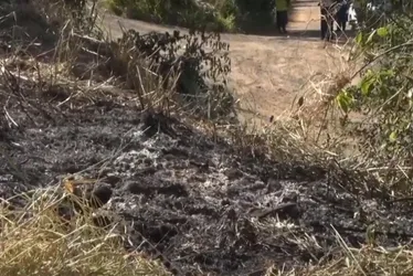 Imagem ilustrativa da imagem Homem é esfaqueado por vizinhos após colocar fogo em terreno em Cariacica