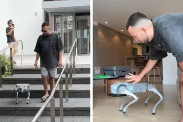 Imagem ilustrativa da imagem Cão-robô de Lucas Rangel, comprado por R$ 40 mil, causa polêmicas e, claro, tretas