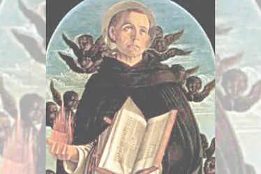Imagem ilustrativa da imagem Imagens iluminadas de Nossa Senhora a partir de domingo