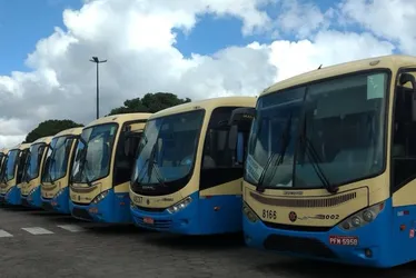 Imagem ilustrativa da imagem Intensificada campanha sobre educação e combate ao transporte clandestino