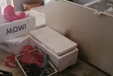 Imagem ilustrativa da imagem Justiça decreta prisão de companheira de homem encontrado em freezer no RS