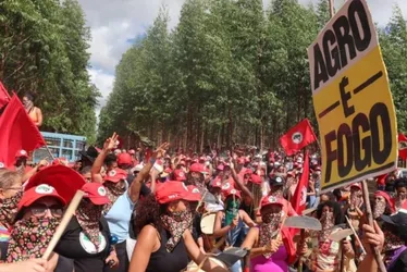 Imagem ilustrativa da imagem Justiça manda desocupar área invadida pelo MST no ES