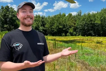 Imagem ilustrativa da imagem Maior youtuber do mundo vem ao Brasil para enfrentar 'ilha das cobras'