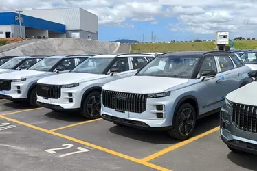 Imagem ilustrativa da imagem Marca chinesa de carros admite investir no Estado