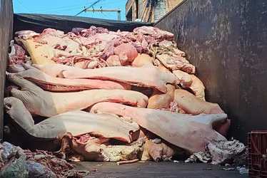 Imagem ilustrativa da imagem Matadouro irregular é interditado e quase 4 toneladas de carne são apreendidas