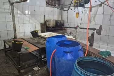Imagem ilustrativa da imagem Matadouro irregular é interditado e quase 4 toneladas de carne são apreendidas