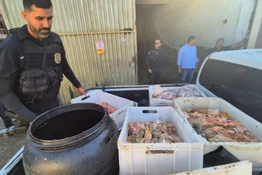 Imagem ilustrativa da imagem Matadouro irregular é interditado e quase 4 toneladas de carne são apreendidas