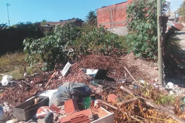 Imagem ilustrativa da imagem Morador é multado em R$ 4.580 após jogar lixo em terreno