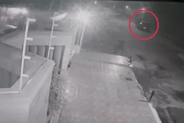 Imagem ilustrativa da imagem Motorista que atropelou e matou capivaras em Vila Velha será indiciado