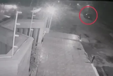 Imagem ilustrativa da imagem Motorista que atropelou e matou capivaras em Vila Velha é autuado por maus-tratos