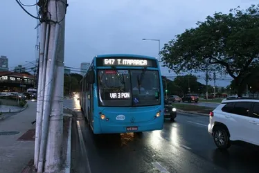 Imagem ilustrativa da imagem Nova linha de ônibus do Transcol começa a operar neste domingo