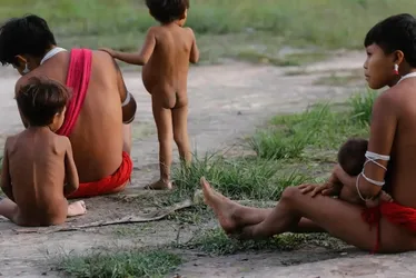 Imagem ilustrativa da imagem Número de óbitos no território Yanomami teve redução de 21% em 2024