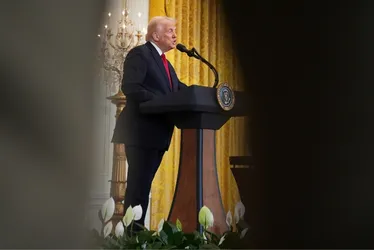 Imagem ilustrativa da imagem "Odeio dizer isso assim, mas vamos tomar a Groenlândia", diz Donald Trump