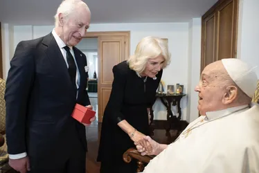Imagem ilustrativa da imagem Papa contraria recomendação médica e recebe visita ‘secreta’ no Vaticano
