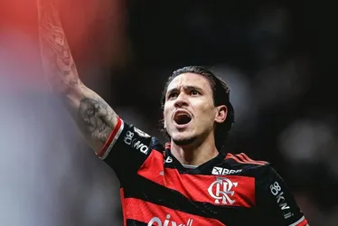 Imagem ilustrativa da imagem Pedro evolui na recuperação e diminui tempo para retorno no Flamengo