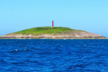 Imagem ilustrativa da imagem Pesca ilegal e falta de fiscalização ameaçam “tesouros” no mar