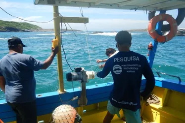 Imagem ilustrativa da imagem Pesca ilegal e falta de fiscalização ameaçam “tesouros” no mar