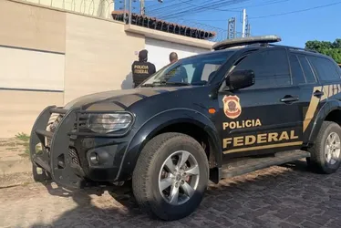 Imagem ilustrativa da imagem Polícia Federal destrói mais de 70 armas apreendidas em operações