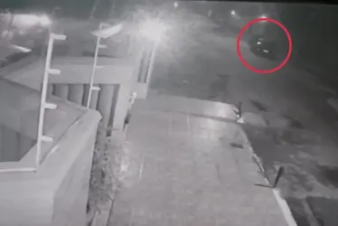 Imagem ilustrativa da imagem Polícia identifica motorista que atropelou e matou capivaras em Vila Velha