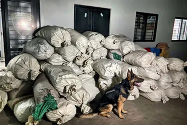 Imagem ilustrativa da imagem Polícia prende em Caruaru liderança do tráfico de drogas no Agreste