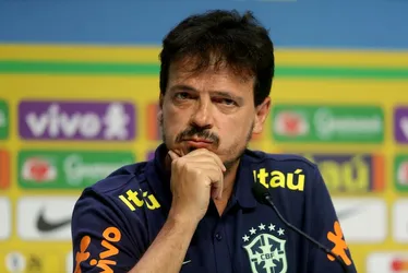 Imagem ilustrativa da imagem Qual será a missão de Fernando Diniz ao assumir o Vasco?