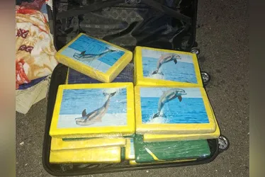 Imagem ilustrativa da imagem Quase 20 quilos de cocaína apreendidos durante abordagem em rodovia de Petrolina