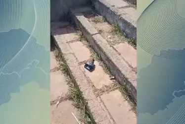 Imagem ilustrativa da imagem Sete pessoas são baleadas durante show de João Gomes no Carnaval de Olinda