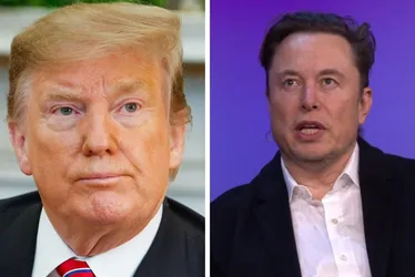 Imagem ilustrativa da imagem Trump: Musk tem ajudado EUA de maneira tremenda, mas quer voltar para seus carros
