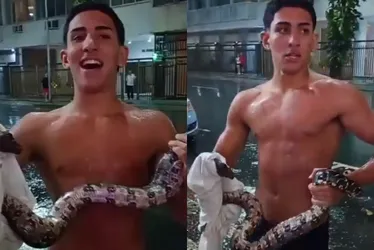 Imagem ilustrativa da imagem VÍDEO | Jiboia aparece em rua de Copacabana e jovem a pega com as próprias mãos