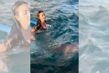 Imagem ilustrativa da imagem VÍDEO | Turista se assusta com tubarão em Fernando de Noronha
