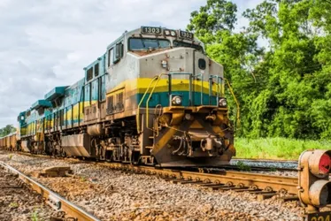 Imagem ilustrativa da imagem Vale apresenta estudo de impacto ambiental de nova ferrovia