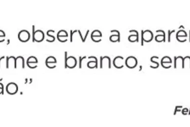 Imagem ilustrativa da imagem Veja onde comprar palmito na Grande Vitória para fazer sua torta capixaba