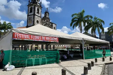 Imagem ilustrativa da imagem Vem aí mais um Festival Flores de Holambra, no Centro do Recife