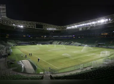 ‘Se gramado sintético fosse bom, a vaca comia’: a icônica frase de Dunga sobre a polêmica