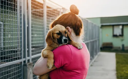 
          Imagem ilustrativa da imagem 13 pessoas presas este ano por maus-tratos a animais no ES
          