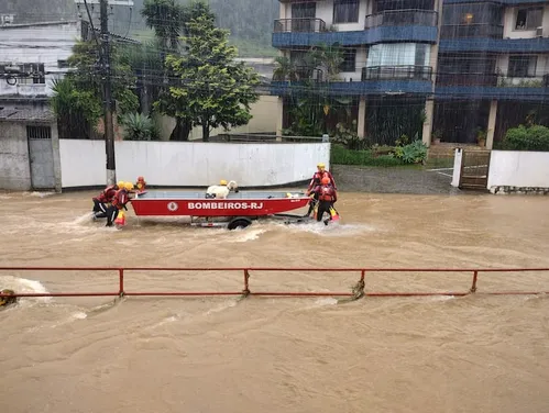 
          Imagem ilustrativa da imagem Bombeiros resgatam cabra presa em porta-malas em Petrópolis; veja fotos e vídeo
          
