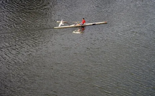 
          Imagem ilustrativa da imagem Brasileiro Interclubes – Barcos Curtos: capixabas “voam baixo” na água
          