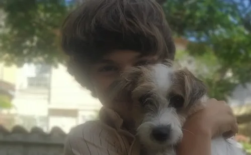 
          Imagem ilustrativa da imagem Cachorros de 'Ainda Estou Aqui' são premiados na Inglaterra
          