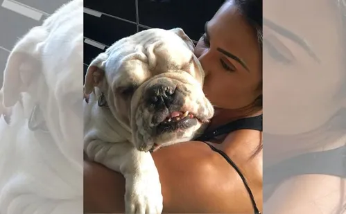 
          Imagem ilustrativa da imagem Cadela de Gracyanne morre enquanto musa está confinada no BBB 25
          