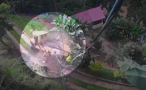 
          Imagem ilustrativa da imagem Caminhão despenca de barranco em Domingos Martins
          