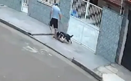 
          Imagem ilustrativa da imagem Cão é atacado e atitude de tutor revolta moradores em Vila Velha
          