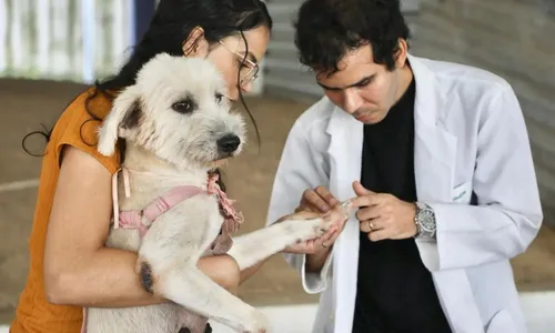 
          Imagem ilustrativa da imagem CãoPaz leva vacinação antirrábica e atendimento veterinário ao Compaz Miguel Arraes
          