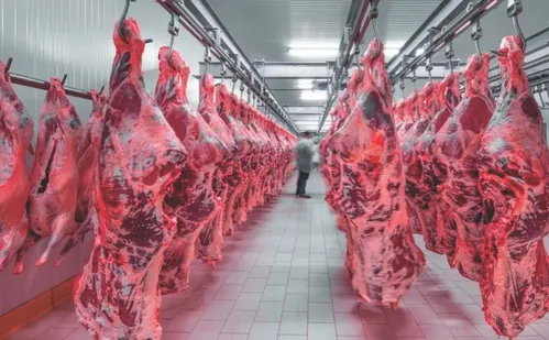 
          Imagem ilustrativa da imagem China suspende compra de carne bovina do Brasil
          