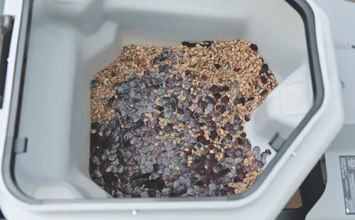 
          Imagem ilustrativa da imagem “Chuva de sementes” para recuperar o meio ambiente
          