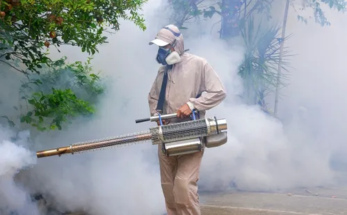 
          Imagem ilustrativa da imagem Combate à dengue: só 55% dos moradores liberam visita dos agentes
          