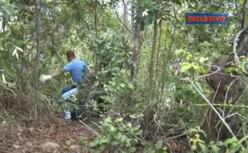 
          Imagem ilustrativa da imagem Corpo de homem é encontrado em área de mata em Vila Velha
          