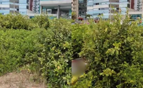 
          Imagem ilustrativa da imagem Corpo é encontrado em restinga da Praia de Itaparica, em Vila Velha
          