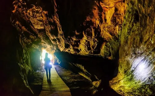 
          Imagem ilustrativa da imagem Descobertas pré-históricas em Castelo vão ser expostas em museu
          