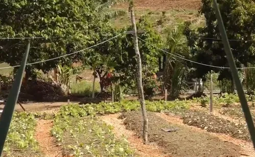 
          Imagem ilustrativa da imagem Discussão por causa de copo de suco pode ter motivado assassinato de detento no ES
          