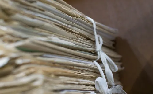 
          Imagem ilustrativa da imagem Documentos sobre imigração no ES estão disponíveis para consulta online
          